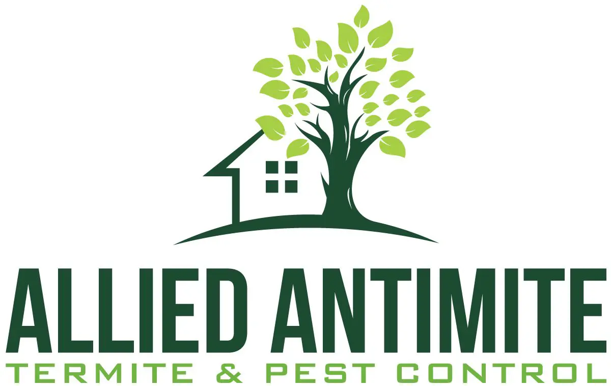 CX-101284_Allied-Antimite-Termite-&-Pest-Control_Final