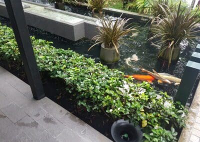 Marketing-Pictures_In2Care-Station-next-to-pond-with-fish-4-400x284